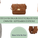 Create Your Own “Stitch Fix” – September Edition