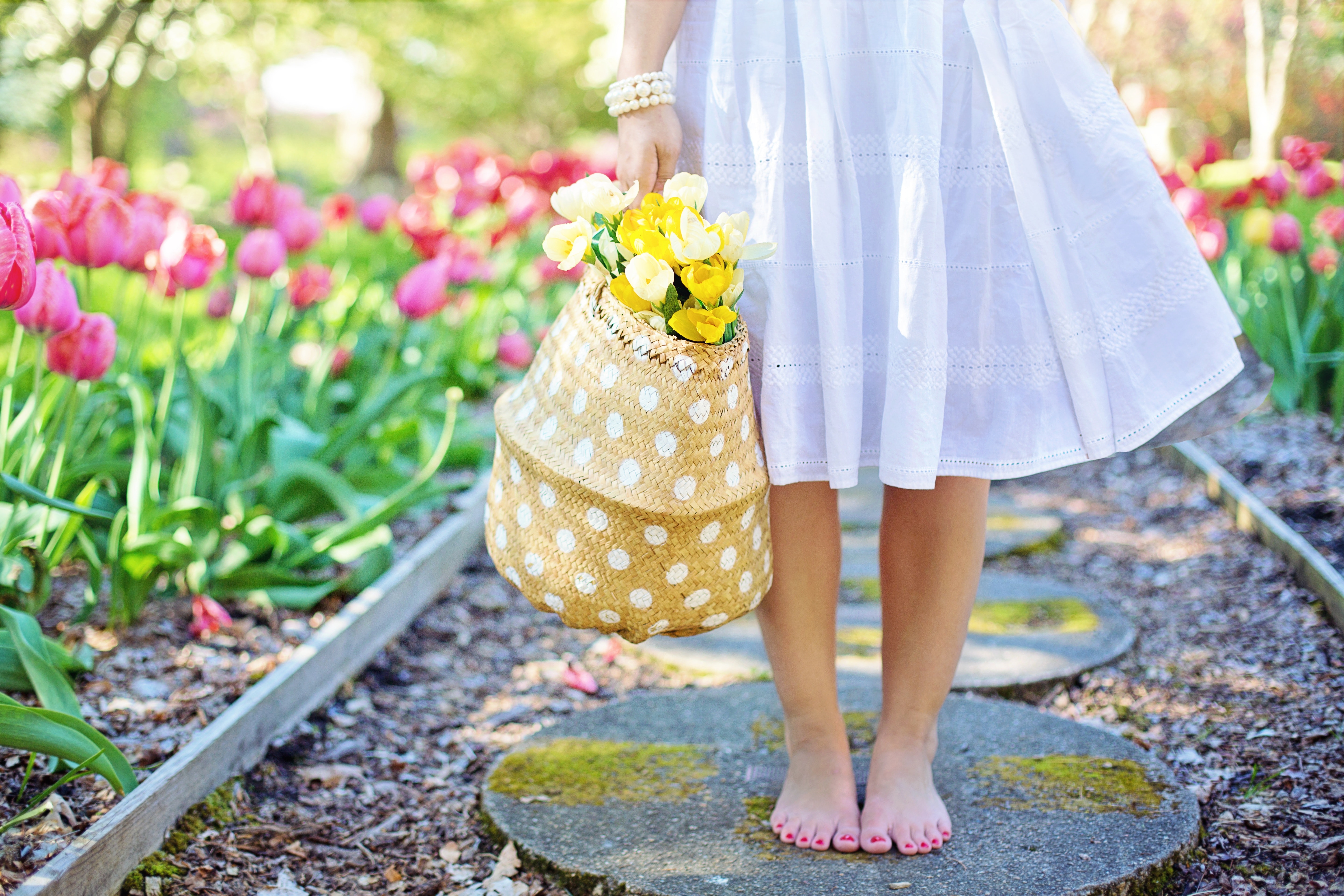 barefoot-basket-blooming-413707.jpg